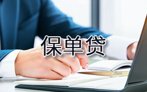 白城保单贷